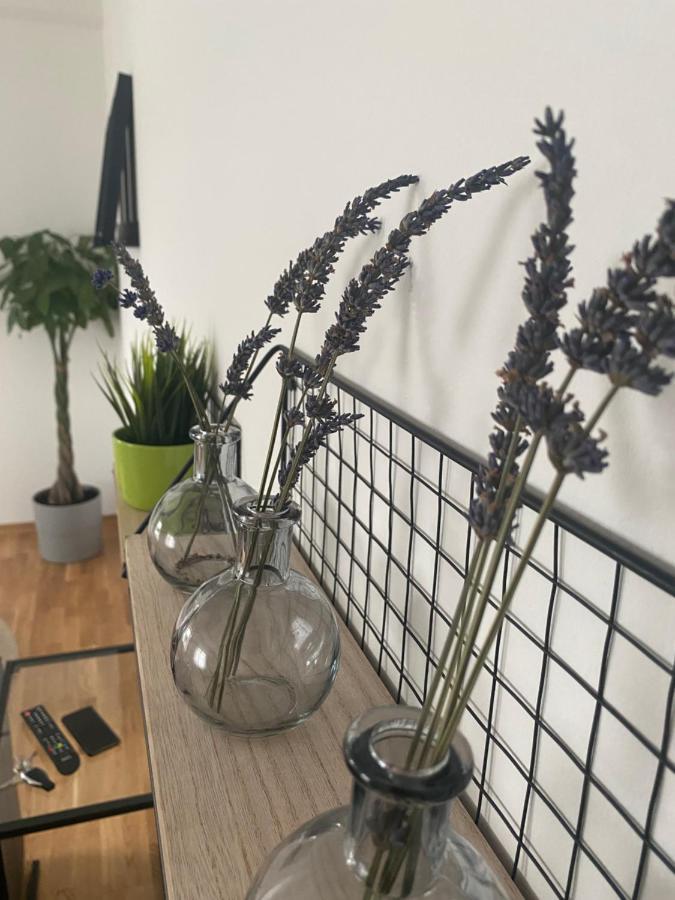 Penthouse West S Apartment Varazdin Luaran gambar